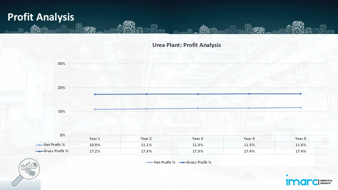 Profitability Analysis Year on Year Basis