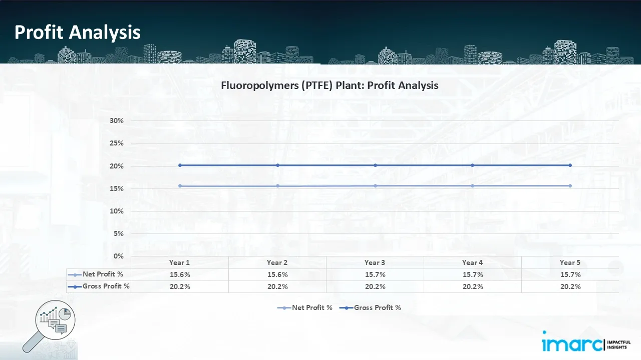 Profitability Analysis Year on Year Basis