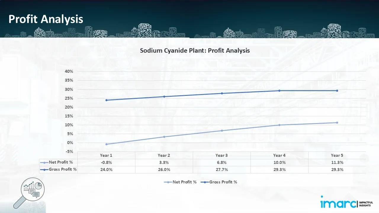 Profitability Analysis Year on Year Basis