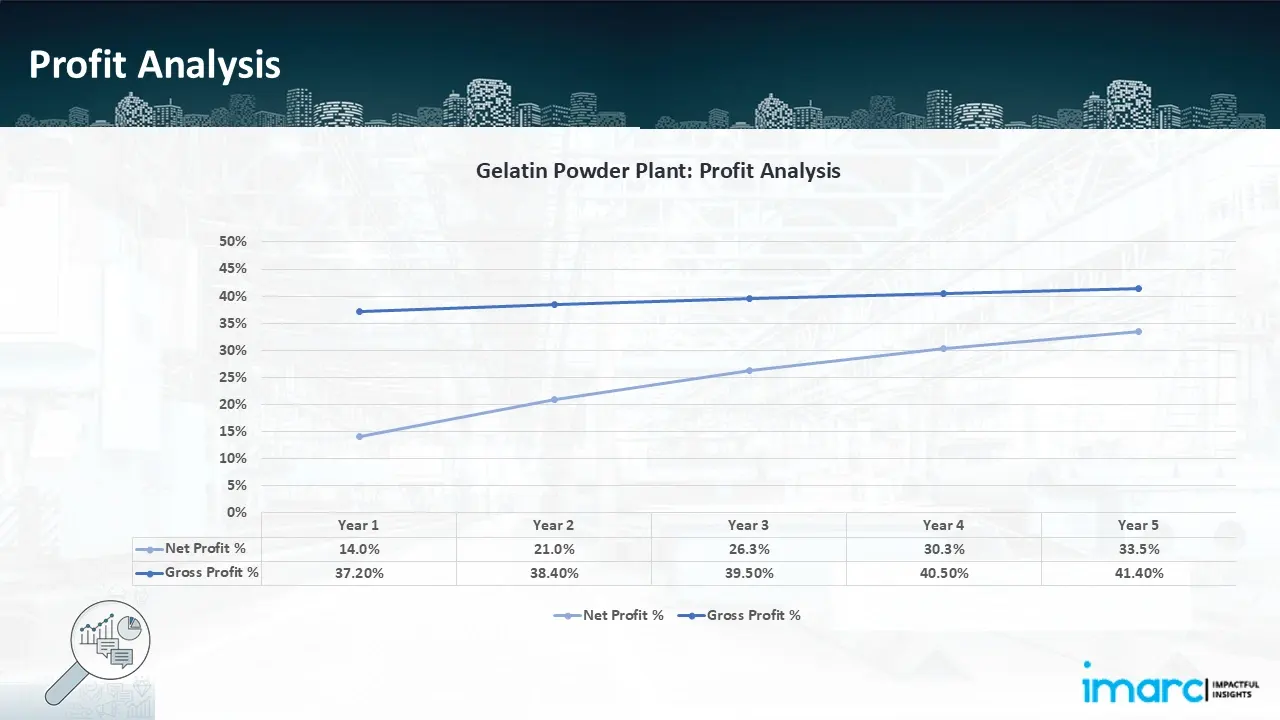 Profitability Analysis Year on Year Basis