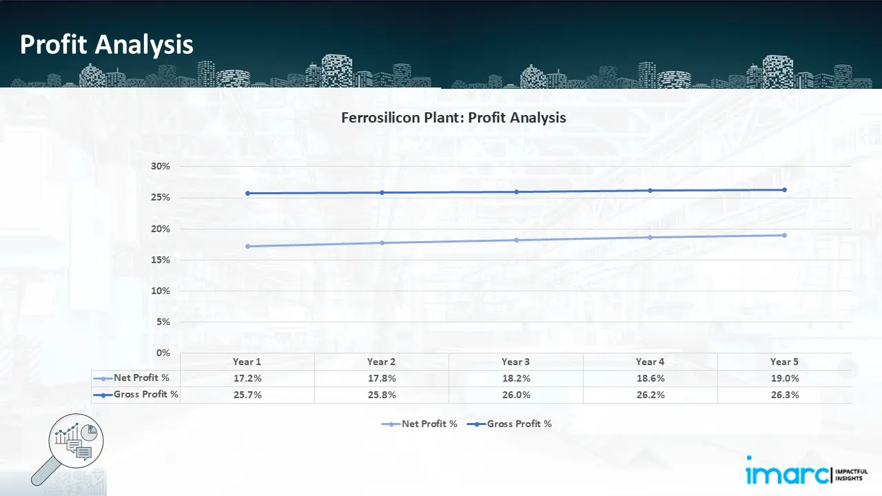 Profitability Analysis Year on Year Basis